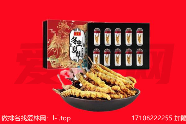 沧州市运河回收虫草.jpg